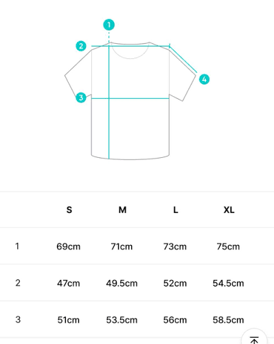 BTS S/S Tour T-Shirt (Black) ARIRANG TOUR